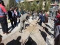 گزارش تصویری مراسم روز درختکاری